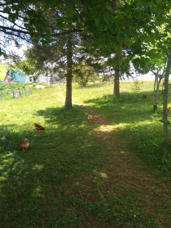 Žabljak Family Farm Jezeraゲストハウス エクステリア 写真